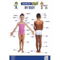 WALL CHART - MY BODY - MARLIN
